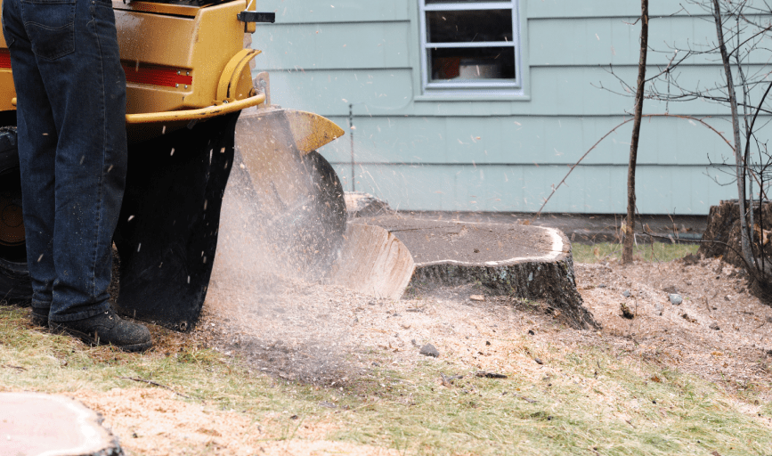 STUMP GRINDING